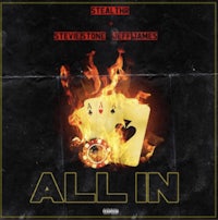 steve stevens - all in